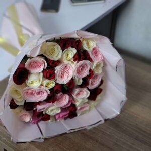 Petals Blooms